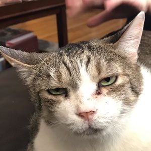 Meet your Posher, Kaitlin